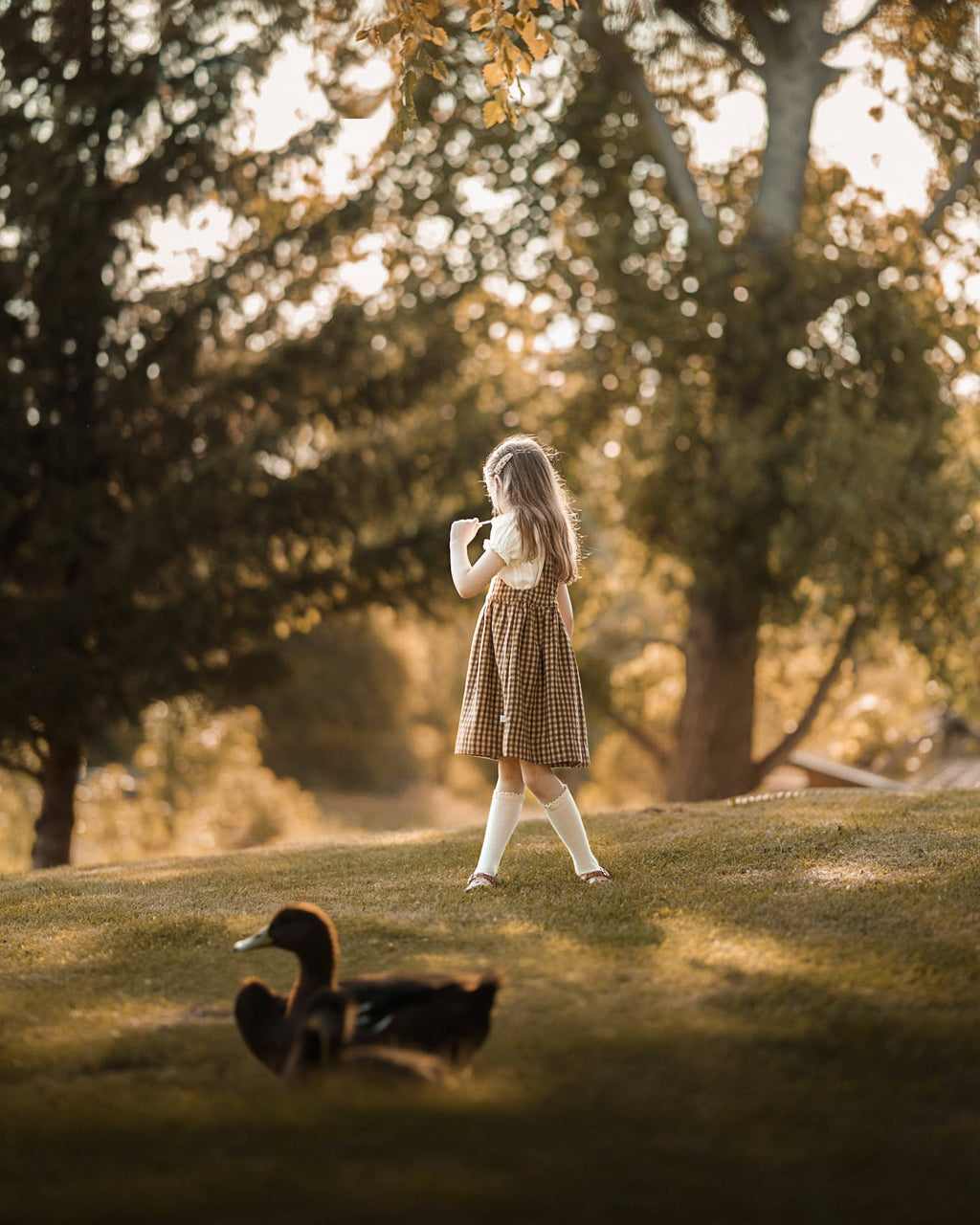 Lillies Dream - The Oak Gingham Pinafore: 3T (38.5 in)