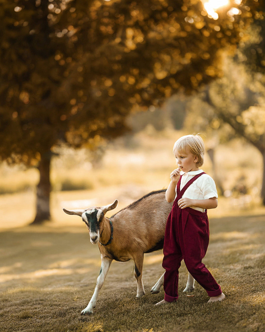 Lillies Dream - The Beetroot Suspender Pants: 9-12m (32 in)