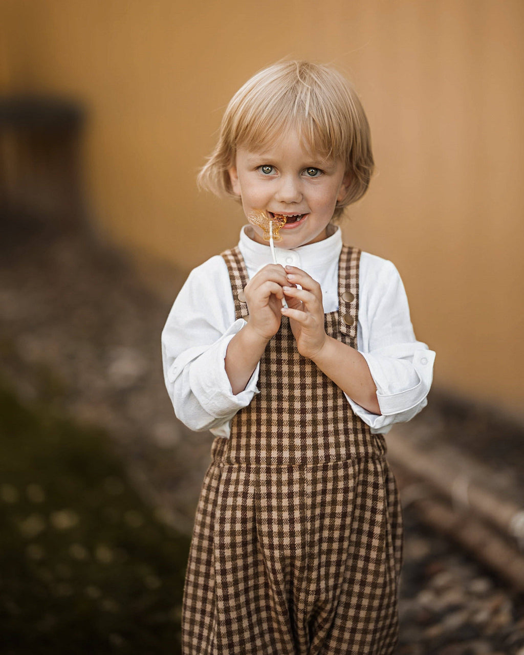 Lillies Dream - The Oak Gingham Overalls: 2T (36 in)