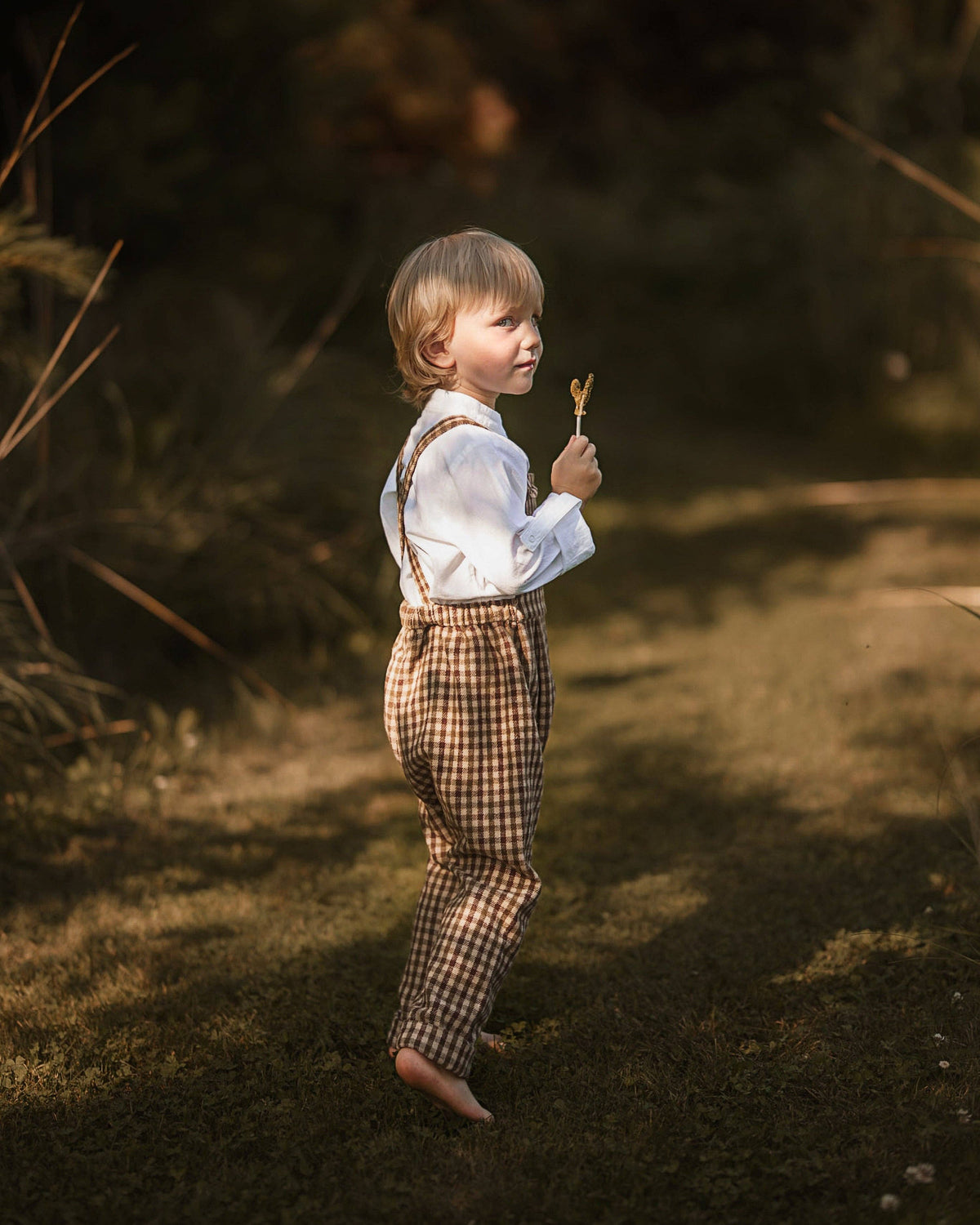 Lillies Dream - The Oak Gingham Overalls: 2T (36 in)