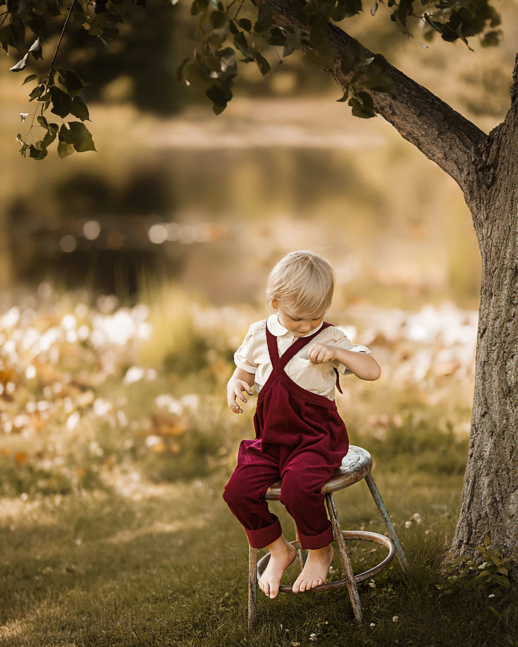 Lillies Dream - The Beetroot Suspender Pants: 9-12m (32 in)